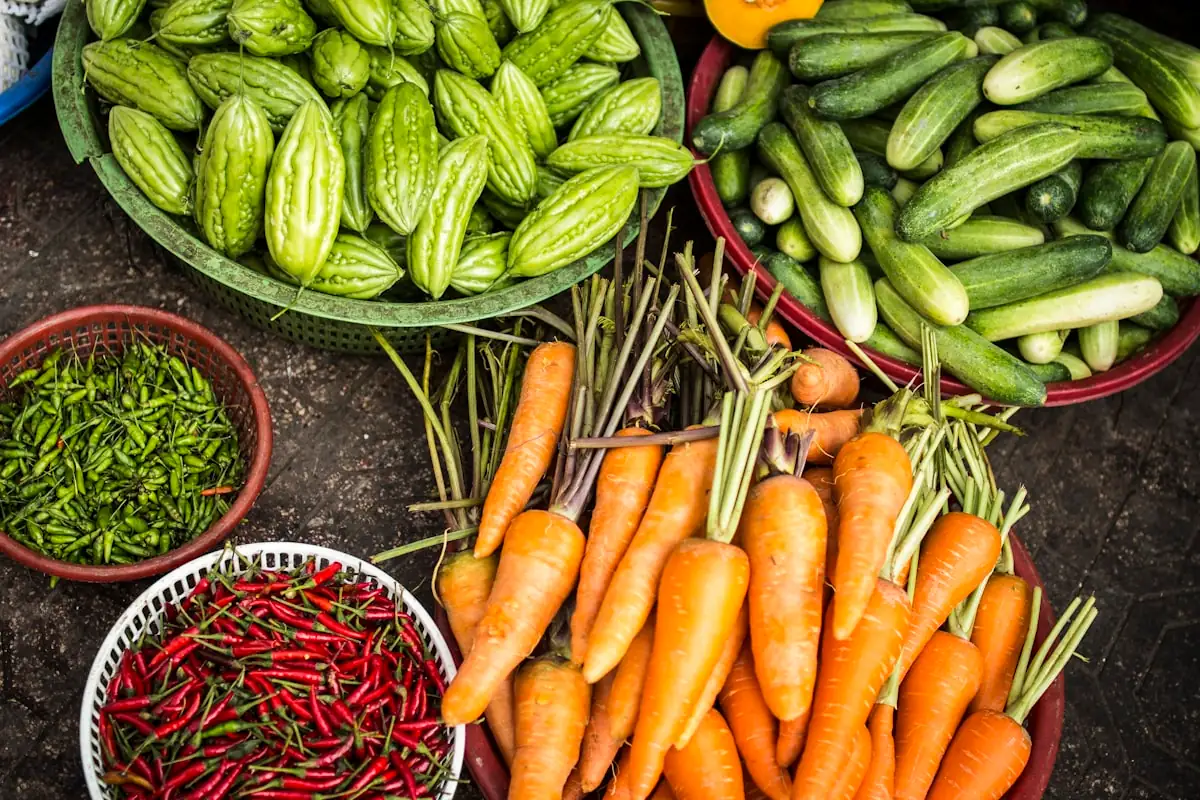 Organic Farm