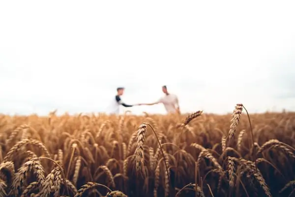Sustainable farming