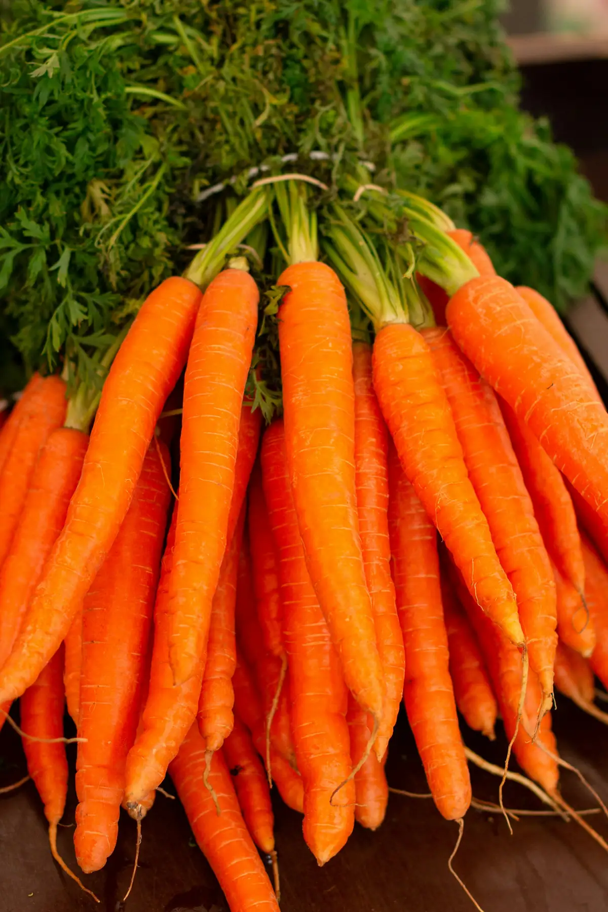 Organic Products